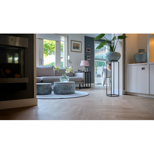 Belakos Palazzo visgraat XL 71