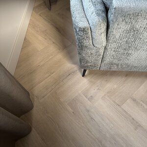 Belakos Palazzo visgraat XL 72