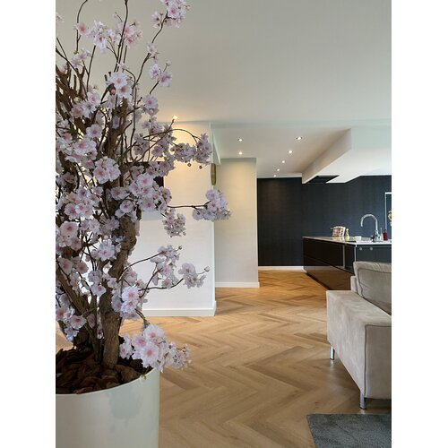 Belakos Rustico visgraat 20