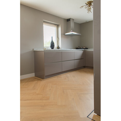 Gelasta Oakland Visgraat 6201