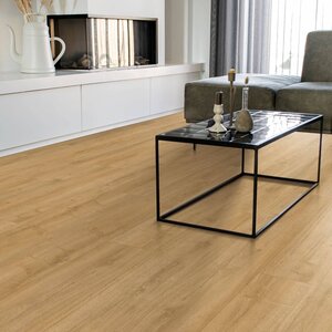 Gelasta Oakland 6101