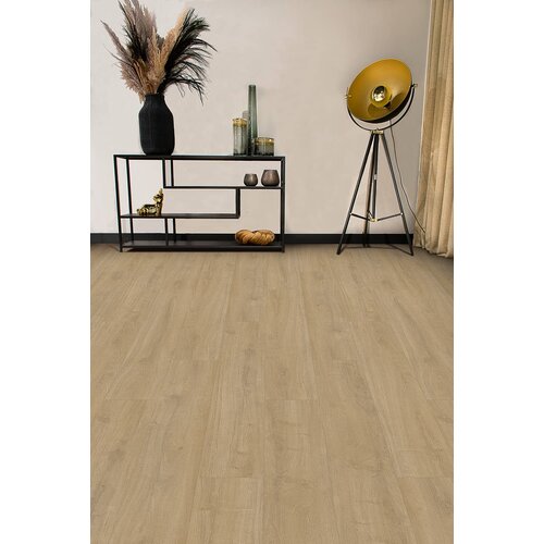 Gelasta Oakland 6100