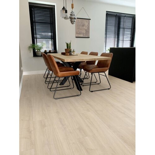 Gelasta Oakland 7105 (rigid click)