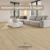 Dynamic 2500  - all in deals