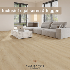 Gelasta Dynamic 2500