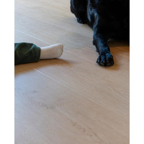 Belakos Monastro 920 Belakos Monastro 920