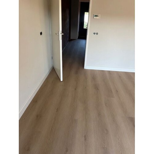 Gelasta Sierra 2002 (dryback) Light