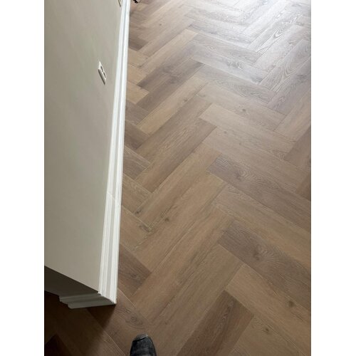 Gelasta Vario Visgraat 4405