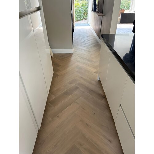 Gelasta Vario Visgraat 4405