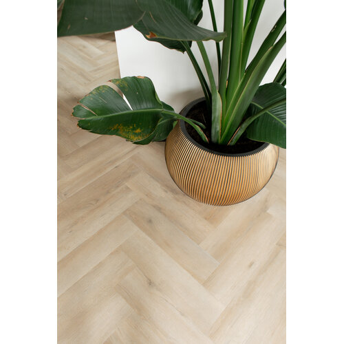 Gelasta Artline Visgraat 1260 Premium Oak Beige inclusief leggen Gelasta Artline Visgraat 1260 Premium Oak Beige inclusief leggen