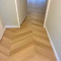 Ermelo - Hongaarse punt