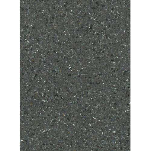 Gelasta Gelasta affecto