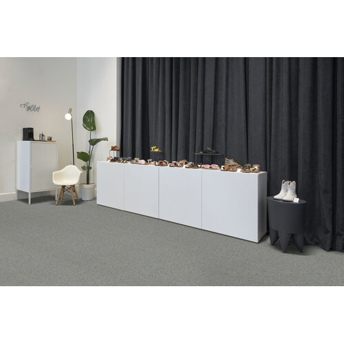 Gelasta Gelasta affecto