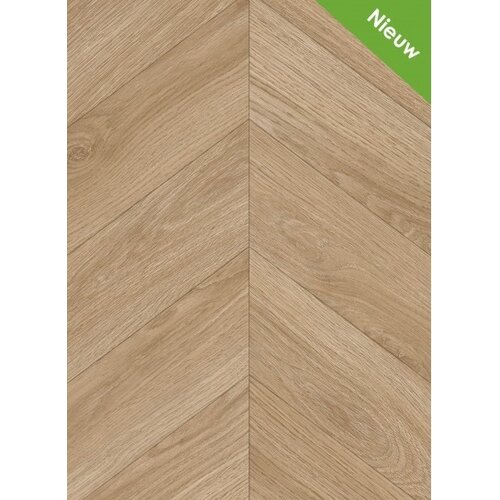 Gelasta Gelasta Avenza