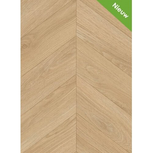 Gelasta Gelasta Avenza