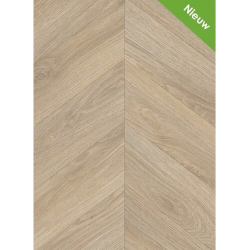 Gelasta Gelasta Avenza