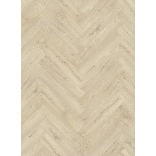 Gelasta Gelasta trentino