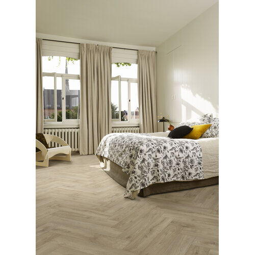 Gelasta Gelasta trentino