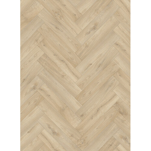 Gelasta Gelasta trentino