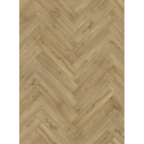 Gelasta Gelasta trentino