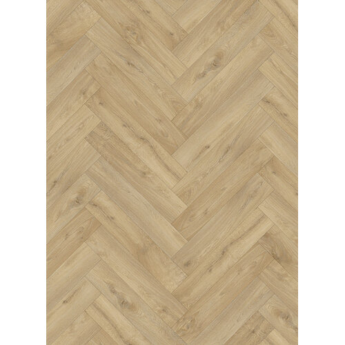 Gelasta Gelasta trentino