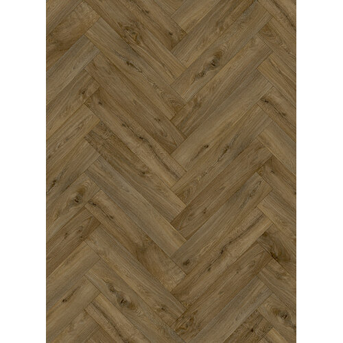 Gelasta Gelasta trentino