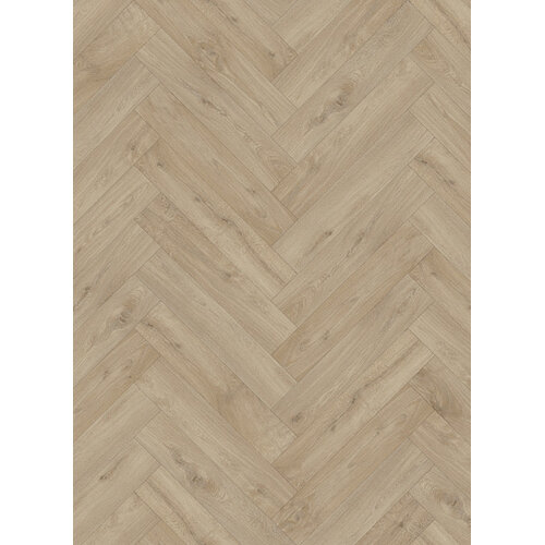 Gelasta Gelasta trentino