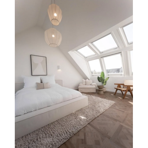 VT Wonen Royal dryback sun kissed VT Wonen Royal dryback sun kissed