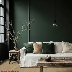 Hoomline Vloeren Click - Haarlem