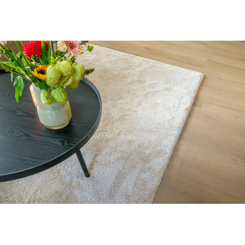 Belakos Attico 830 | Rigid Click