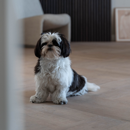 Belakos Attico visgraat XL 82