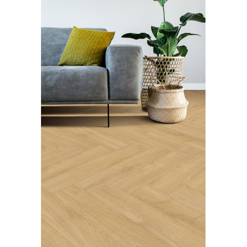 Gelasta Oakland Visgraat 6202