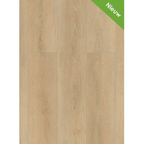 Gelasta Highland 2503 (dryback) Naturel inclusief leggen