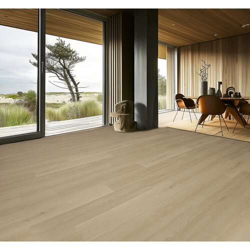 Gelasta Highland 2502 (dryback) Desert