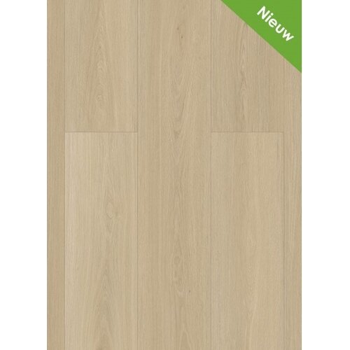 Gelasta Highland 2502 (dryback) Desert