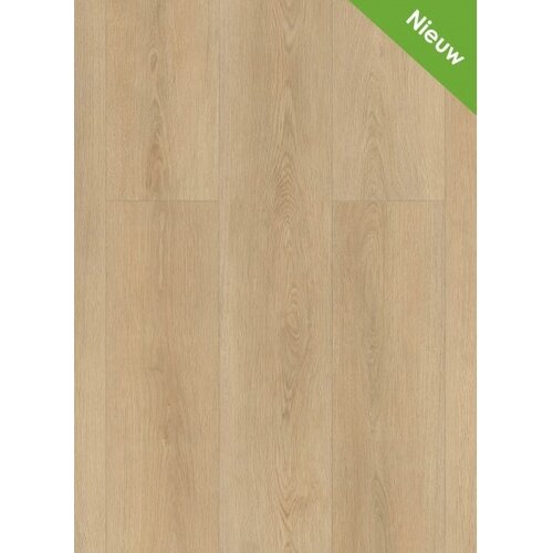 Gelasta Highland 2503 (dryback) Naturel Gelasta Highland 2503 (dryback) Naturel