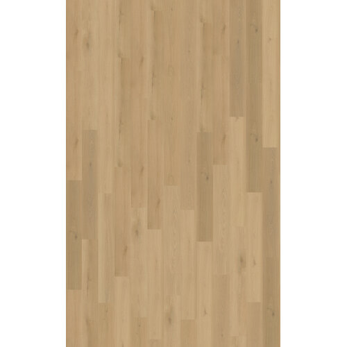 Belakos Borgo 300 | Rigid Click Belakos Borgo 300 | Rigid Click