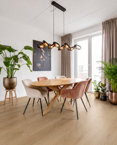 Hoomline Vloeren City Dryback Apeldoorn 6045 Hoomline Vloeren City Dryback Apeldoorn 6045
