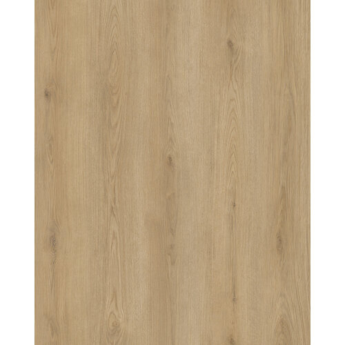 Hoomline Vloeren City Dryback Arnhem 6001