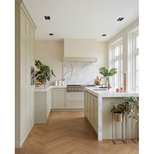 Hoomline Vloeren Hoomline Elegance Dryback Visgraat Leeuw
