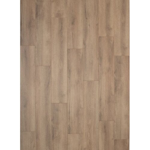 Gelasta Falco 3903 Sommer Eiche Natur