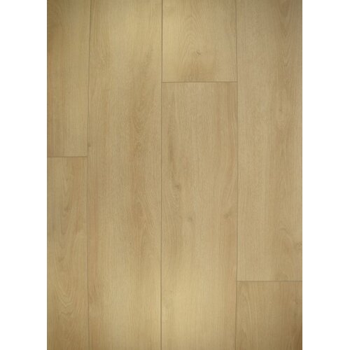 Gelasta Falco 3902 Sommer Eiche Beige Gelasta Falco 3902 Sommer Eiche Beige