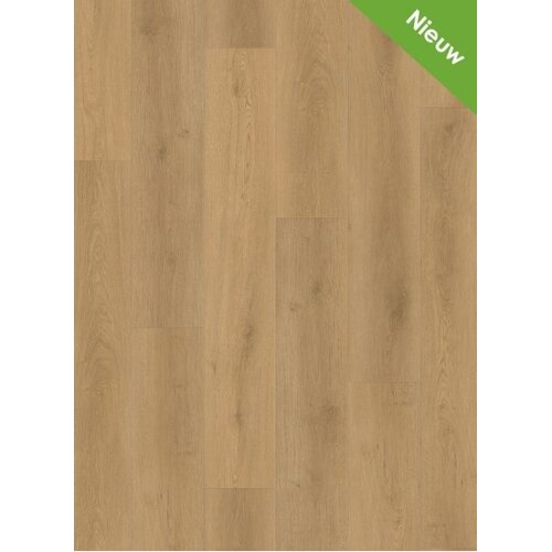 Gelasta  Intense 1300 (dryback) Oak Light