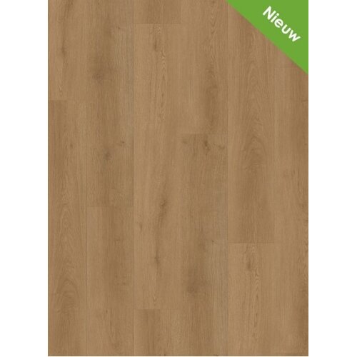 Gelasta Intense 1302 (dryback) Oak Brown
