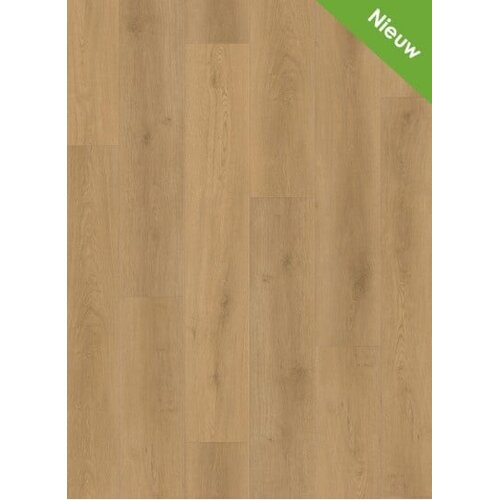 Gelasta Intense 3300 (rigid click) Oak Light