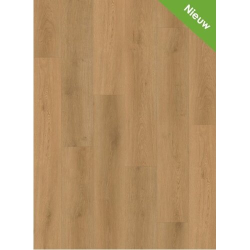Gelasta Intense 3301 (rigid click) Oak Naturel