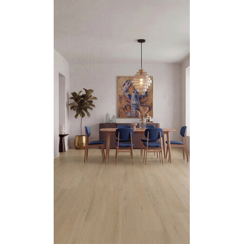 Gelasta Purio 1041 (dryback) Naturel