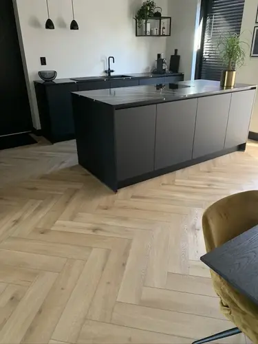 Gelasta Callisto Visgraat 4201 Gelasta Callisto Visgraat 4201