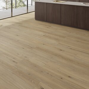 Gelasta Maestro 80631 Gelasta Maestro 80631