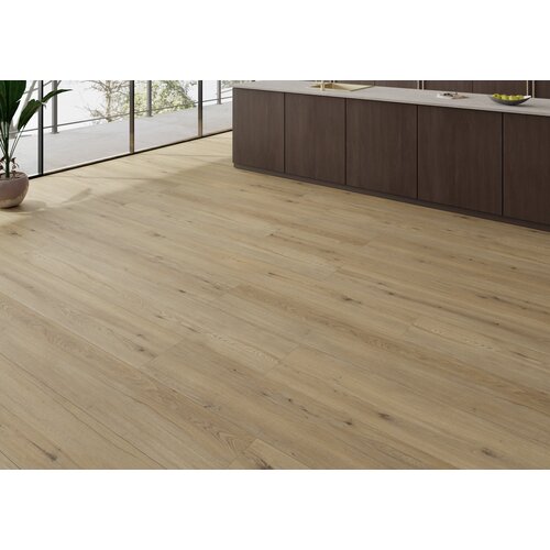 Gelasta Maestro 80631 Disentis Oak Gelasta Maestro 80631 Disentis Oak